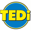 Logo tedi